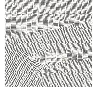 Various - Crossing Lines II (Edition) [Import]