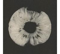 Various - Cycles 2: Cyclic Law'S 20th Anniversary Label Samp