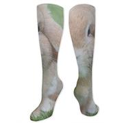 Various - D17 Summer Festivals [Import]