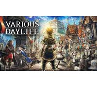 Various Daylife (PC) [Code de téléchargement]