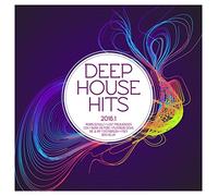 Various - Deep House Hits 2016.1 [Import]
