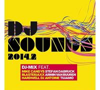 Various - DJ Sounds 2014.2