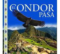 Artistes divers – El Condor Pasa / Musique traditionnelle des Andes – CD – Zyx Music