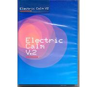 Various - Electric Calm Vol.2