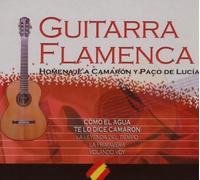 Various - Guitarra Flamenca [Import]