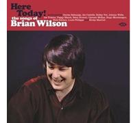 Various - Here Today The Songs of Brian Wilson - Vinyl Record - G72z