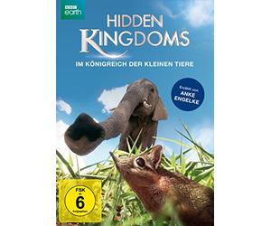 Various - Hidden Kingdoms