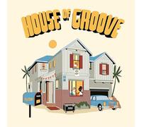 House Of Groove Vinyle