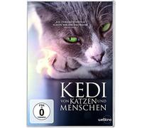 KEDI - VON KATZEN UND MENSCHEN DVD NEUF