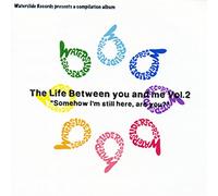 Various - Life Between You and Me Vol.2