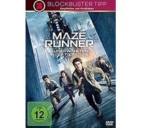 Maze Runner - Die Auserwählten in der Todeszone - Wes Ball / Dylan O'Brien - DVD - Import