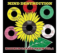 Various - Mind Destruction: Maximum Garage Psych, Vol. 1 (6x