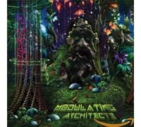Various - Modulating Architects [Import]