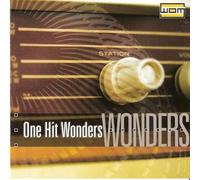 Various - One Hit Wonders