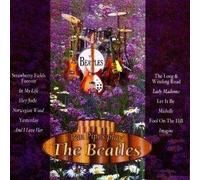 Various - Pan Pipes Play The Beatles [Import]