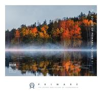 Various – Primare – The Sound of Primare, Vol. 1 – Vinyle 45 tours – in-akustik