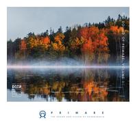 Various – Primare – The Sound of Primare, Vol. 1 – Vinyle 45 tours – in-akustik