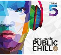 Various - Public Chill Vol.5 [Import]