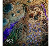 Various - Rare Birds