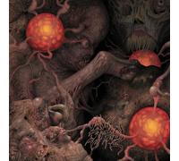 Various - Sheol 4-way Split