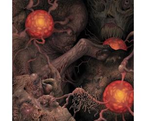 Various - Sheol 4-way Split
