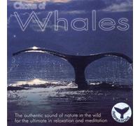 Various Sound Effects - Chorus of Whales