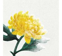 Various - Spring Snow