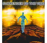 Various - Surrender to The Vibe [Import]
