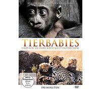 Various - Tierbabies und Wie Sie Ihre Neue Welt Entdecken