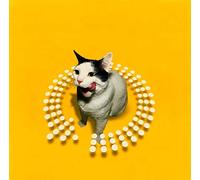 Various - Twist This Pussy [Import]