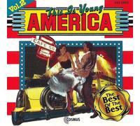 Various - US-Pop (2) CD, Various (Compilation, 16 Tracks, She's A Lady etc.)