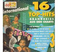 Various - Various - 16 Top-Hits Aus Den Charts 3/93 - Top 13 Music-Club - 71 320 6