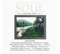 Various - Way Down Deep In My Soul-The Best Of Sugar Hill Gospel Vol.2 - - G3z