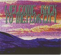 Various - Welcome Back to Meteor City