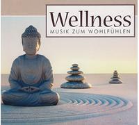 Various - Wellness Musik Zum Wohlfühlen