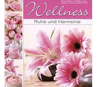 Various - Wellness: Ruhe & Harmonie Nr.2
