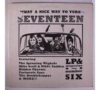 VARIOUS - what a nice way to turn seventeen no. 6 LP