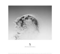 Various - X-Ten Years of Artfacts (Gatefold 3lp+Mp3) [Import]