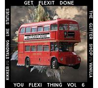 Various - You Flexi Thing Vol.6 [Import]