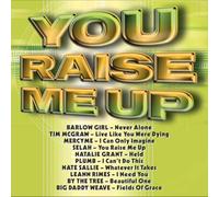 Various – You Raise Me Up – CD