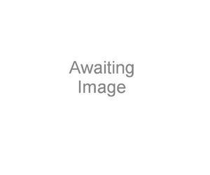 Various - Young to Know, Too Wild [Import]