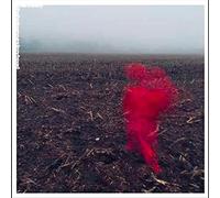 Varley Will - The Hole Around My Head [Import]