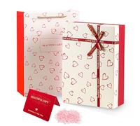 Vartegas Boîte cadeau avec couvercle - 28 x 20 x 9 cm - En carton de qualité supérieure - Avec raphia et sac - Pour mariages, anniversaires, festivals (B)