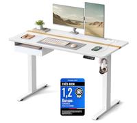 VASAGLE Bureau Électrique Réglable en Hauteur, Bureau Assis-Debout, Surface 60 x 120 cm, Réglable en Continu, Fonction Mémoire de 4 Hauteurs, Blanc LSD112W01