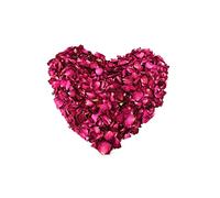VASANA 1 sac (100 grammes) de pétales de rose rouges naturels séchés bio pour confettis de table de mariage, pot de bain, bombes de spa, décoration de fête