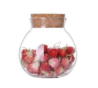 VASANA Bocal de rangement en verre transparent avec bouchon en liège pour fleurs, thé, fruits secs, noix, café, grains de café, sucre, biscuits, bonbons, 500 ml