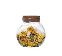 VASANA Bocal rond hermétique en verre transparent avec couvercles en liège, conteneur pour le thé - 500 ml