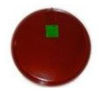 Vase 5L THELIA / THEMIS / THEMA référence 57058.