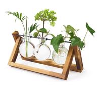Vase à bulbe de jardinière en verre, kit de terrarium de plante d’air de bureau avec support en bois massif rétro