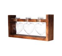 Vase à bulbe de jardinière en verre, kit de terrarium de plante d'air de bureau avec support en bois massif rétro,02